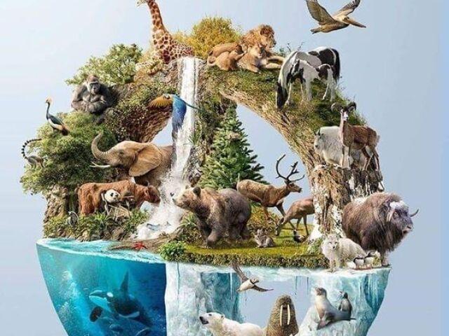 Que animal você seria?