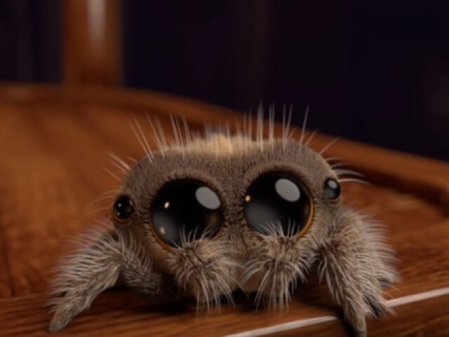 Aranha(com imagem fofa pra voce nao sofrer) kkk