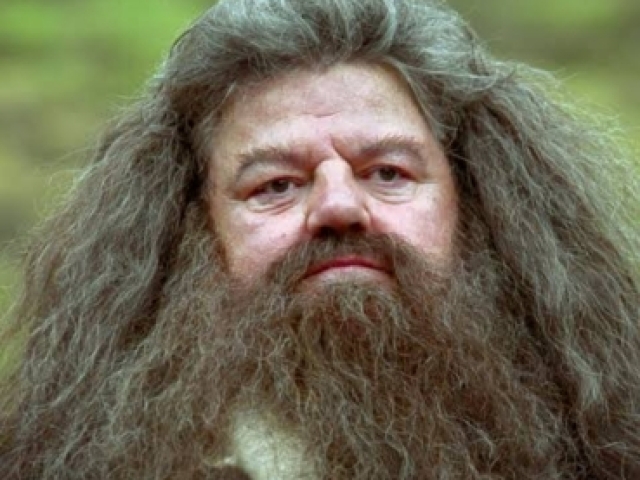 Rúbeos Hagrid