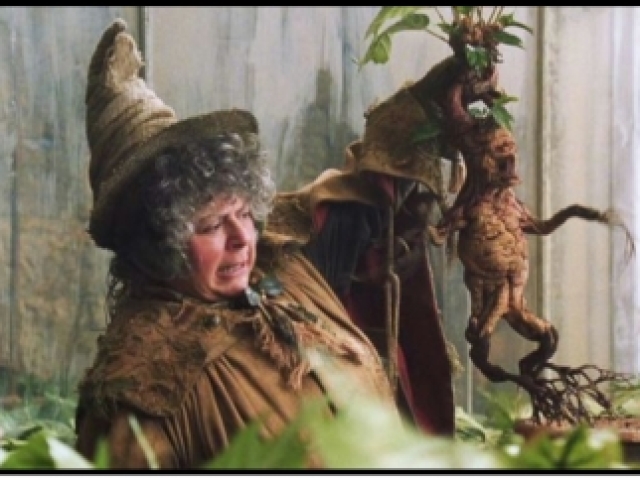 Pomona Sprout