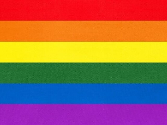 Gay/lésbica (homossexual)