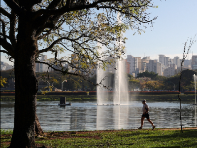 Caminha pelo parque