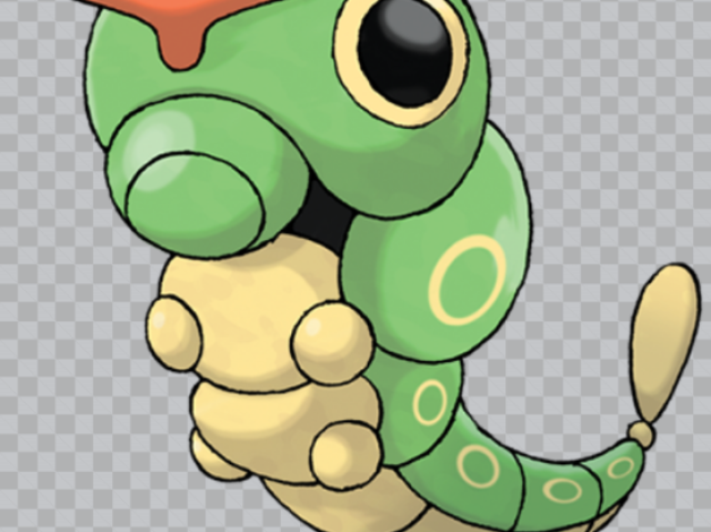 Caterpie