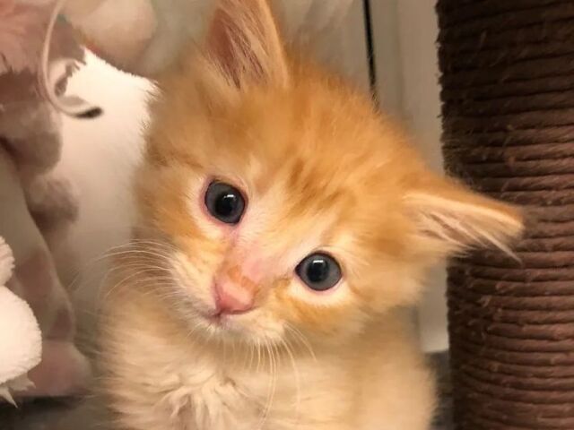 ๐
๐๐๐ฬ ๐๐๐๐ ๐๐๐๐๐๐๐๐ ^^