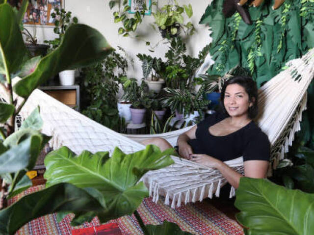 Plantas