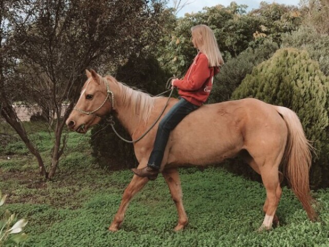 🌼Fui andar à cavalo (caso você tenha escolhido o cavalo como pet ou tenha um nessa história mesmo não tendo colocado a opção do cavalo)✨