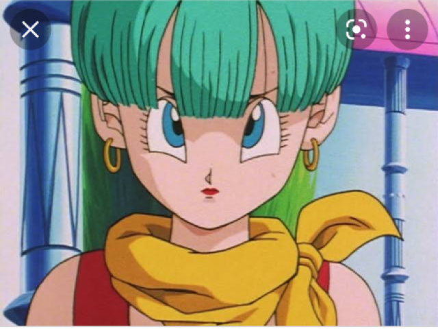 Bulma