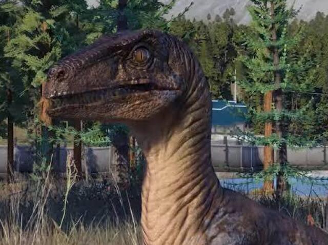 Raptor