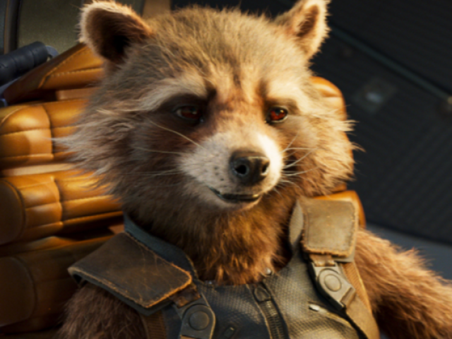 Rocket Racoon