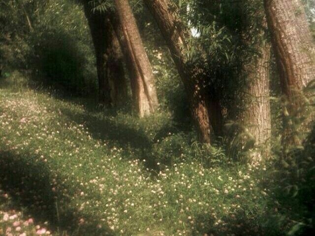 Fairy Tale - Alexander Rybak
I'm in love with a fairytale
Even though it hurts
'Cause I don't care if I lose my mind
She's a fairytale
Yeah