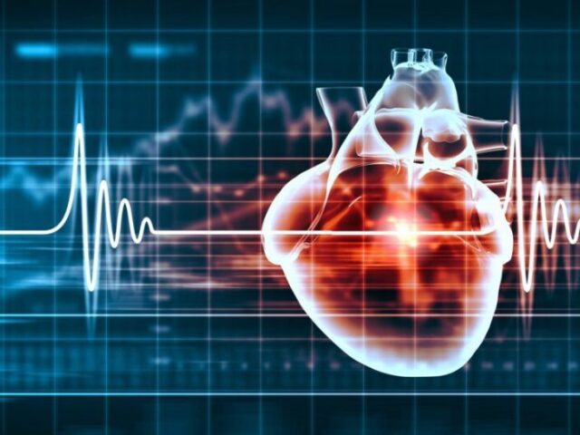 B. A prática de atividade física só ajuda a prevenir doenças cardíacas fortalecendo o músculo cardíaco e doenças respiratórias.