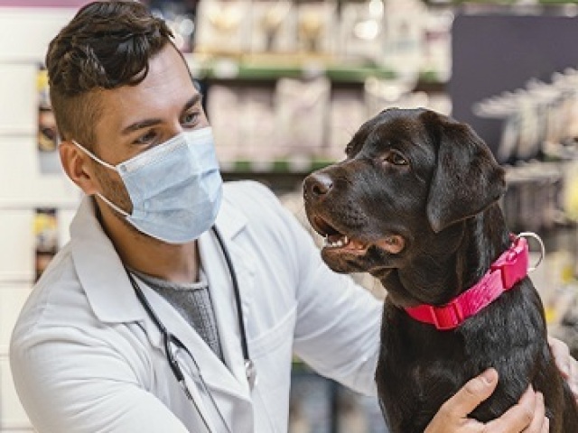 Veterinário(a)
