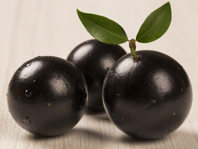 Jabuticaba.