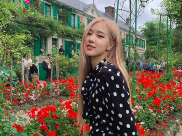 Rosé