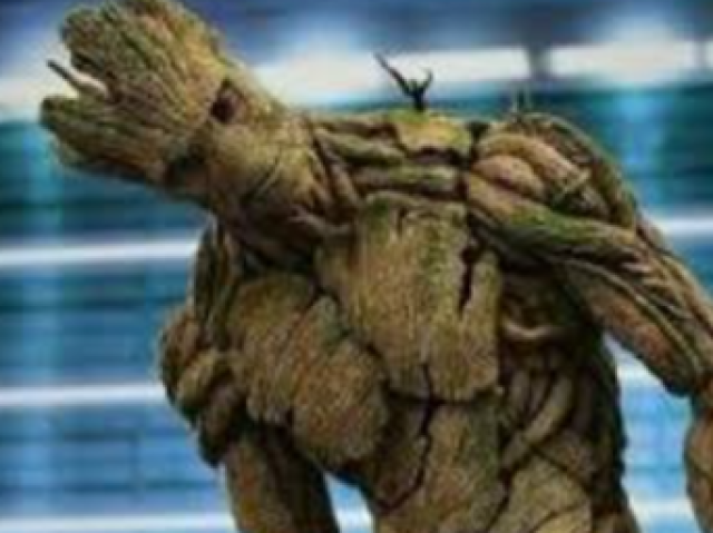 Groot