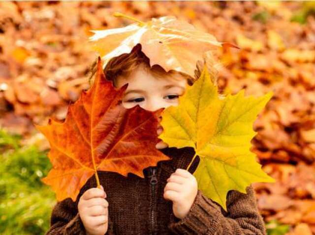 🍁Você é "Outono"🍁