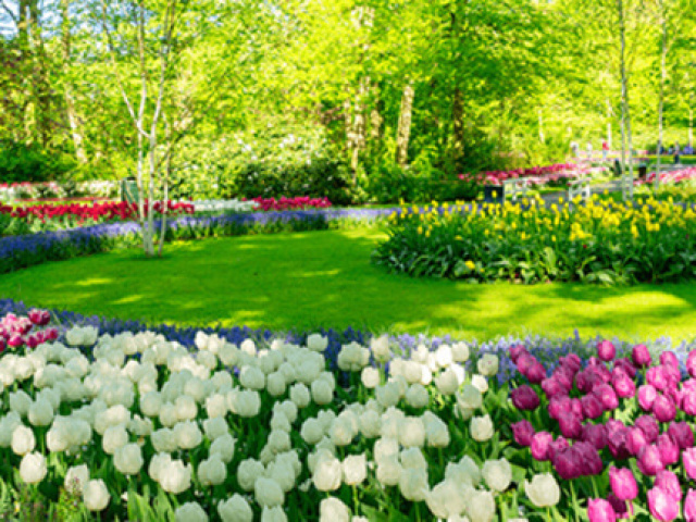 Primavera.
