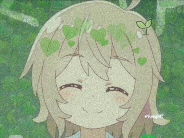 6/6