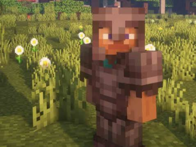 Esta imagem tem shaders ?