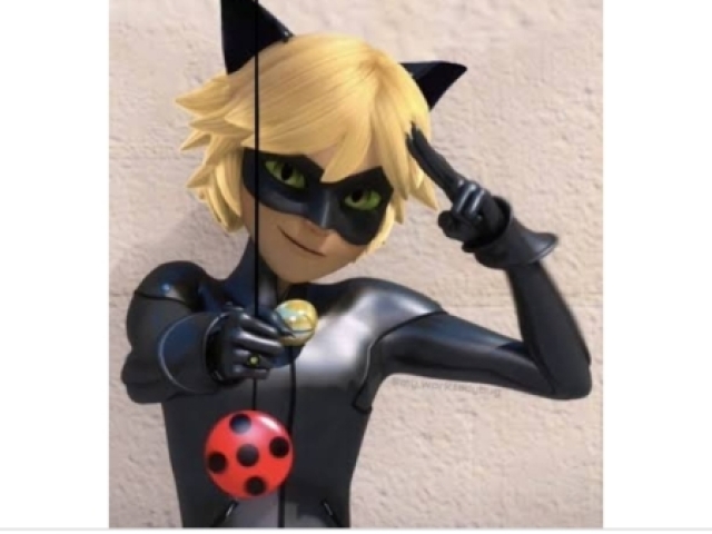 Cat noir