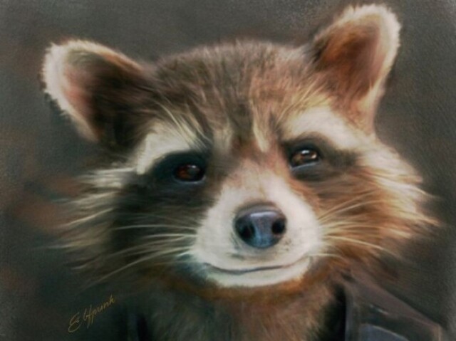 Rocket racoon