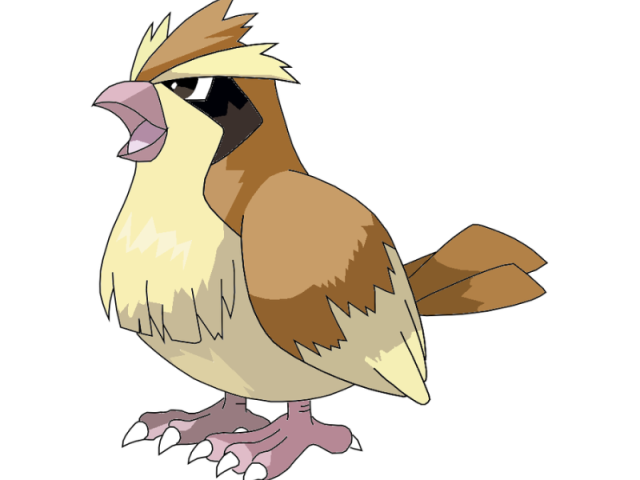 Pidgey