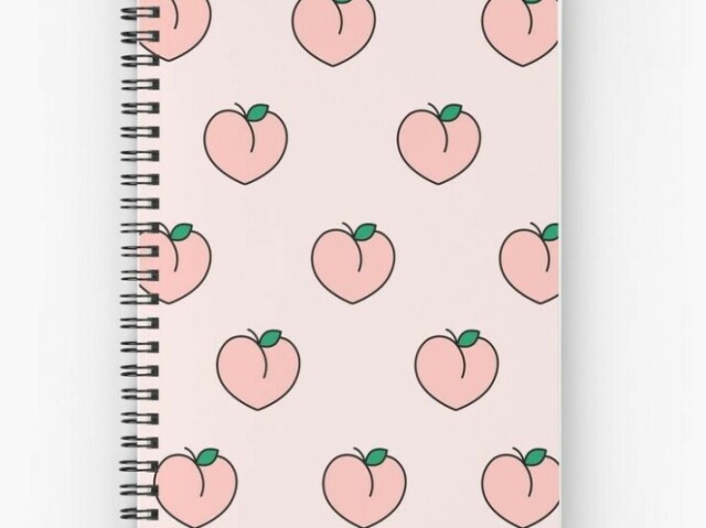 Um caderno de pêssego bem delicado! 🍑