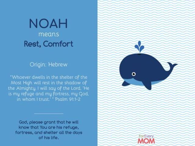 Noah