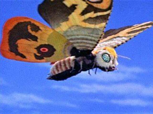 mothra