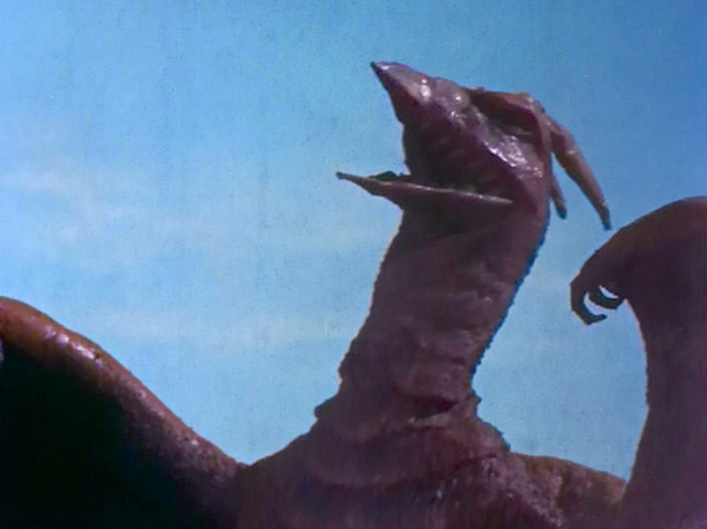 rodan