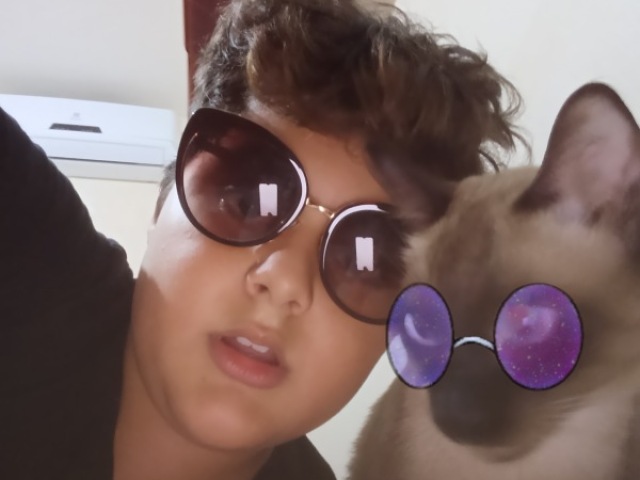 Brincar com seu gato