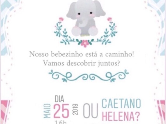 tema elefante 🐘