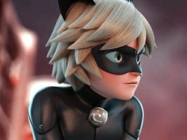 Cat noir