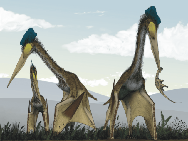 Quetzalcoatlus