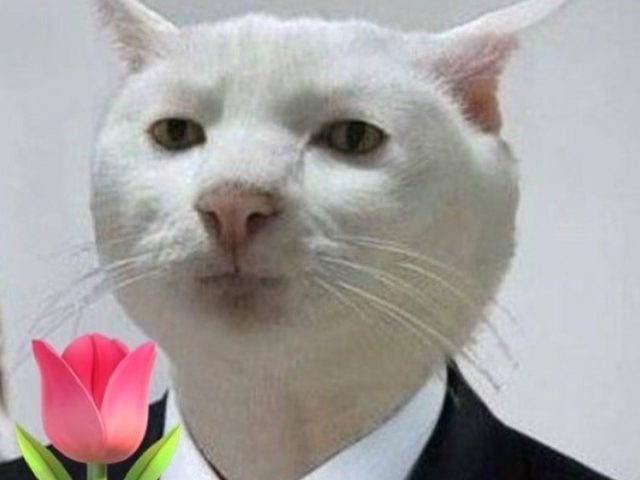Você é dono do teu pai