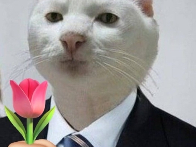 Teu pai