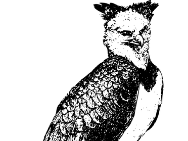 Ümbrer