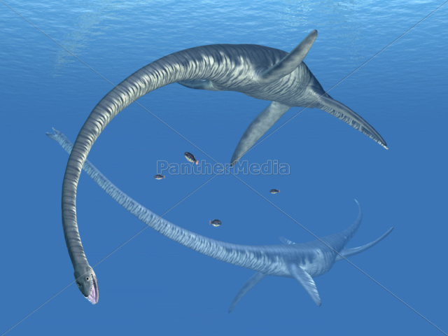 Plessiosauro