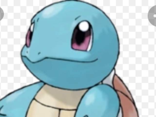 Squirtle