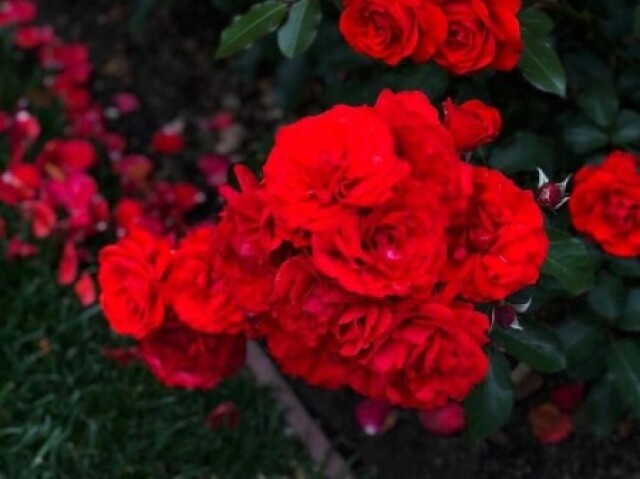 Vermelho e laranja (pq não coube)