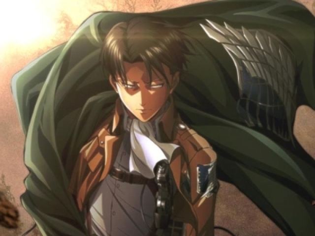 Levi