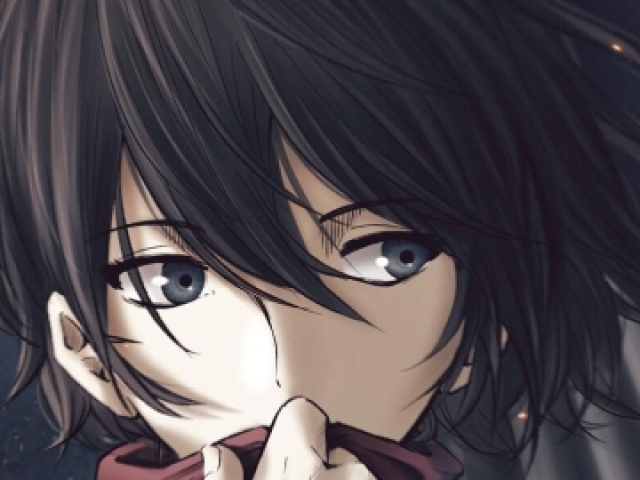 Mikasa