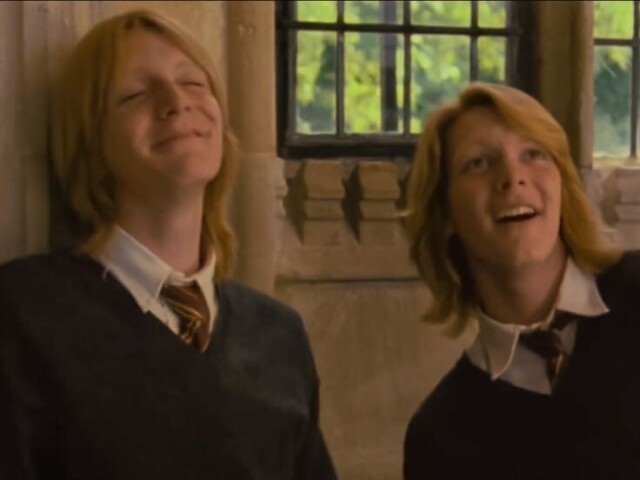 Gêmeos Weasley