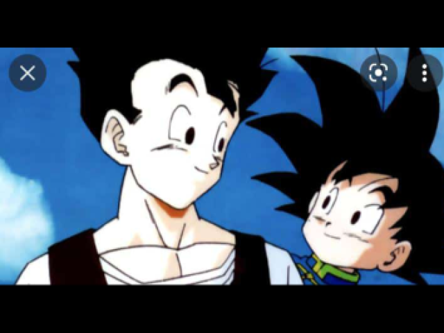 Gohan e goten