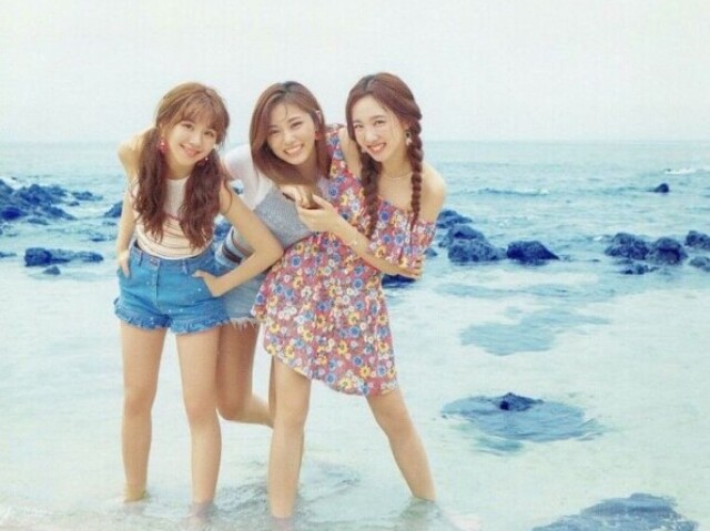 ♡Acerte o cabelo das Twice♡ (Difícil)