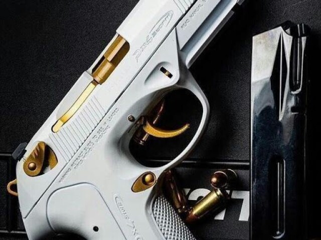 Armas de fogo