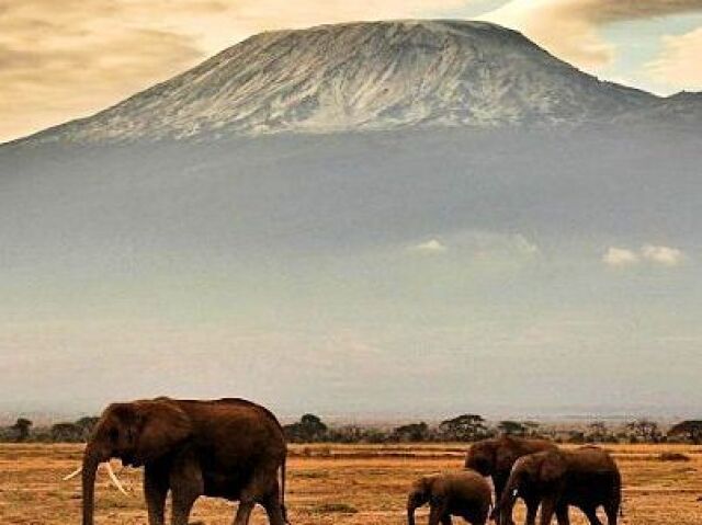 África
