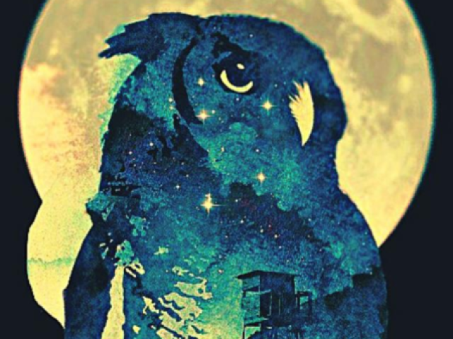 Corte Noturna🦉