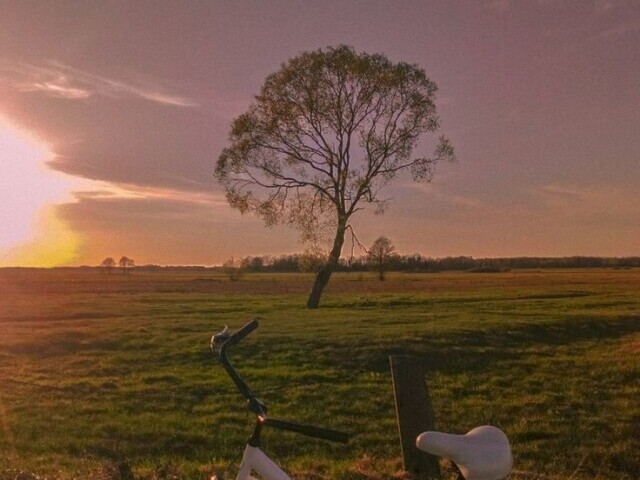 Em um campo é um lugar aberto e bonito