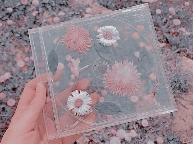 Aesthetic Soft